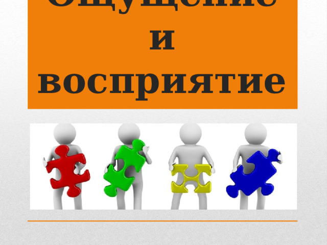 Ощущение и восприятие 