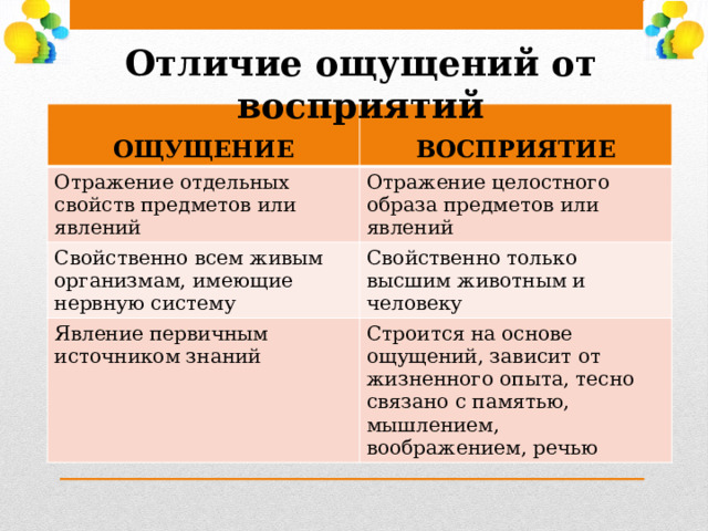 Отличие ощущений от восприятий  ОЩУЩЕНИЕ  Отражение отдельных свойств предметов или явлений ВОСПРИЯТИЕ Отражение целостного образа предметов или явлений Свойственно всем живым организмам, имеющие нервную систему Свойственно только высшим животным и человеку Явление первичным источником знаний Строится на основе ощущений, зависит от жизненного опыта, тесно связано с памятью, мышлением, воображением, речью 