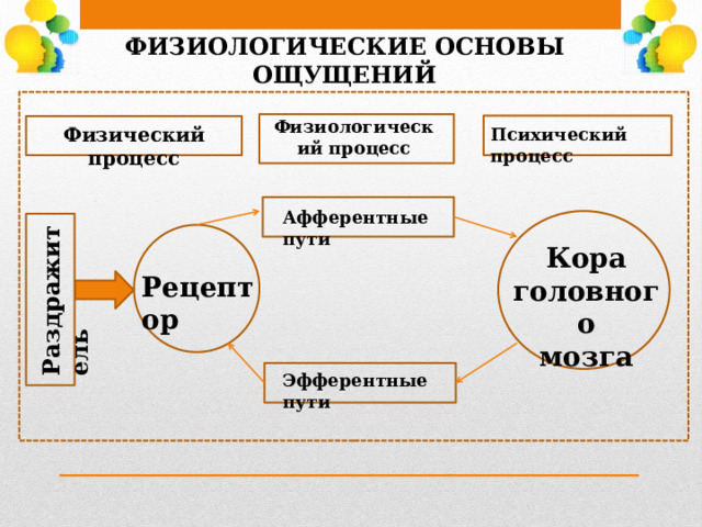 ФИЗИОЛОГИЧЕСКИЕ ОСНОВЫ ОЩУЩЕНИЙ Физиологический  процесс Физический процесс Психический процесс Афферентные пути Раздражитель Кора головного мозга Рецептор Эфферентные пути 