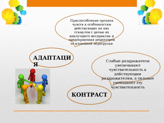 Приспособление органов чувств к особенностям действующих на них стимулов с целью их наилучшего восприятия и предохранения рецепторов от излишней перегрузки АДАПТАЦИЯ Слабые раздражители увеличивают чувствительность к действующим раздражителям, а сильные уменьшают эту чувствительность КОНТРАСТ 