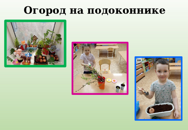 Огород на подоконнике 