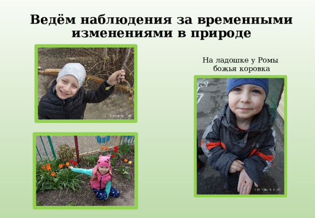 Ведём наблюдения за временными изменениями в природе На ладошке у Ромы  божья коровка 