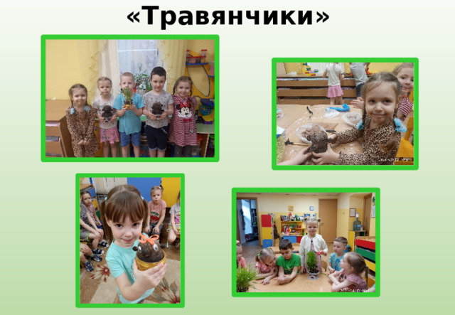 «Травянчики» 