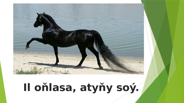 Il oňlasa, atyňy soý. 