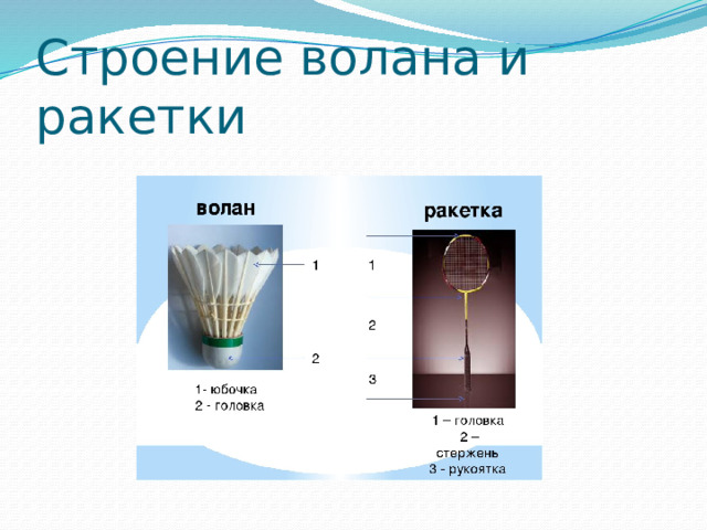 Строение волана и ракетки 
