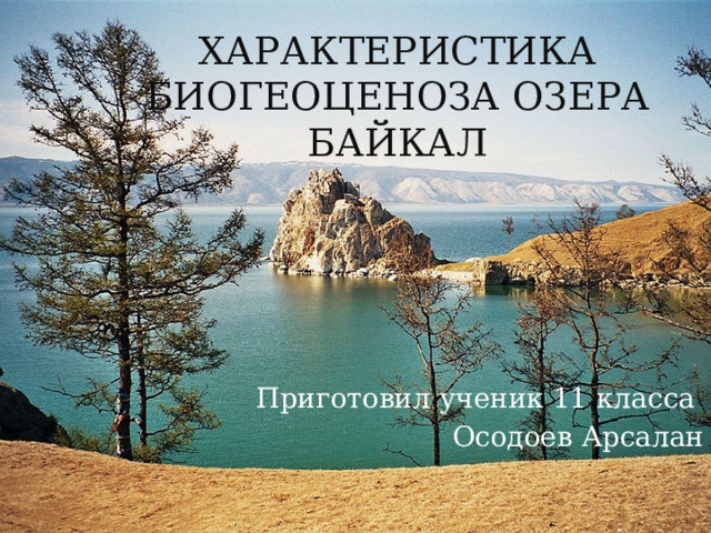 Характеристика биогеоценоза Озера Байкал Приготовил ученик 11 класса Осодоев Арсалан 