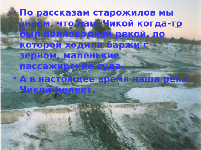 По рассказам старожилов мы знаем, что наш Чикой когда-то был полноводной рекой, по которой ходили баржи с зерном, маленькие пассажирские суда. А в настоящее время наша река Чикой мелеет. 