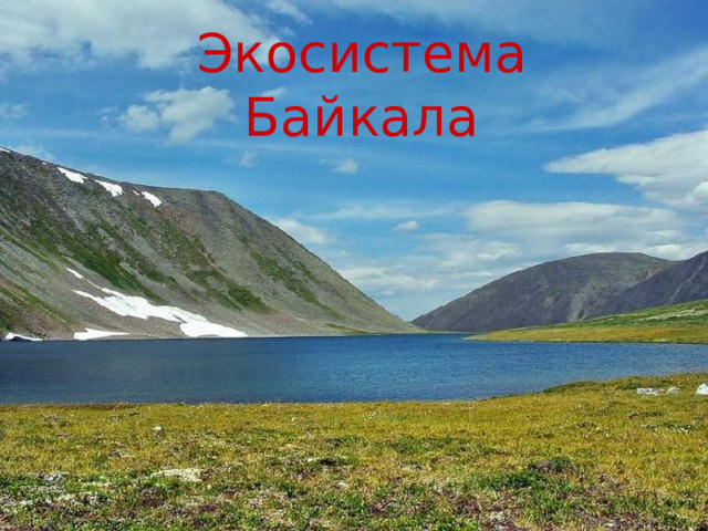 Экосистема Байкала 