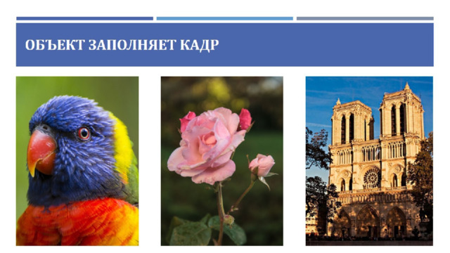Объект заполняет кадр 