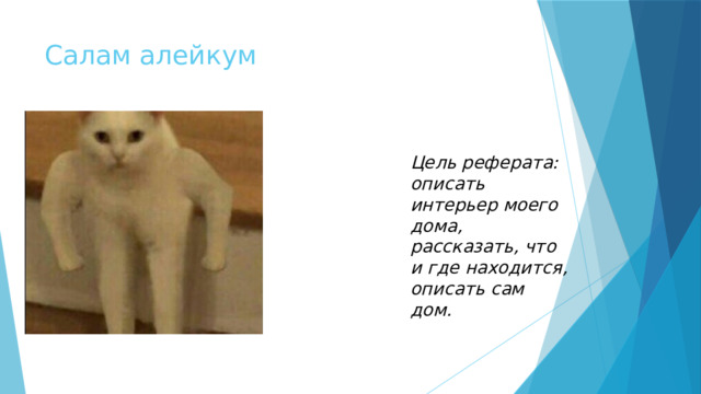 Салам алейкум Цель реферата: описать интерьер моего дома, рассказать, что и где находится, описать сам дом. 