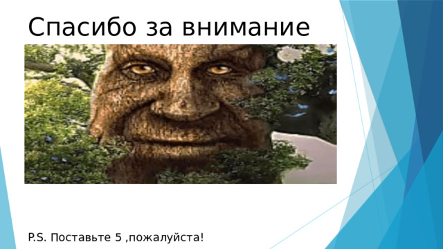 Спасибо за внимание P.S. Поставьте 5 ,пожалуйста! 
