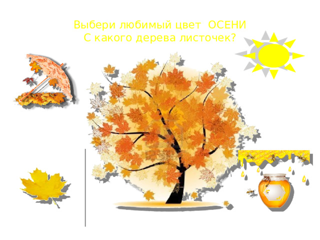 Выбери любимый цвет ОСЕНИ  С какого дерева листочек? 