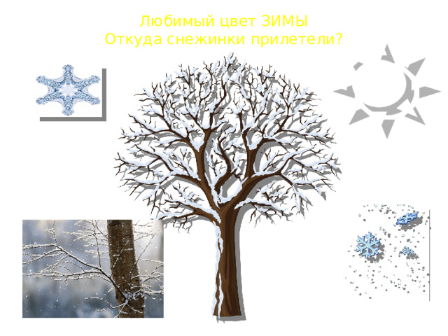 Любимый цвет ЗИМЫ  Откуда снежинки прилетели? 