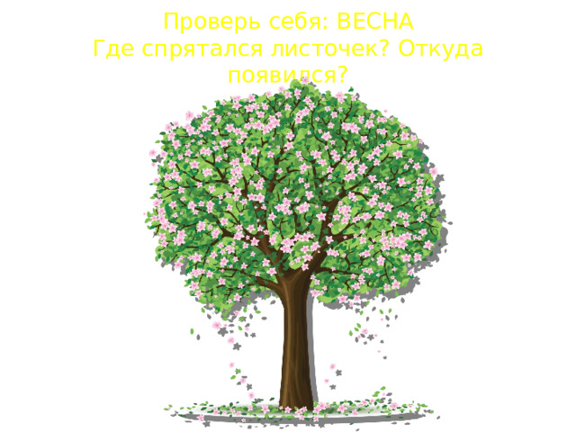 Проверь себя: ВЕСНА  Где спрятался листочек? Откуда появился? 