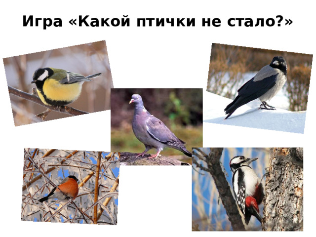 Игра «Какой птички не стало?»   