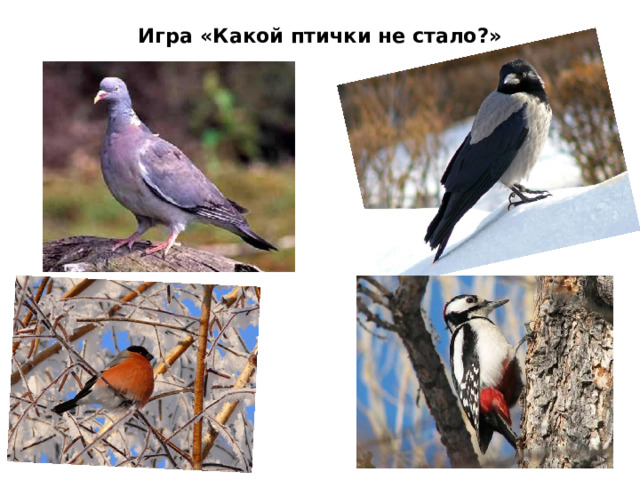 Игра «Какой птички не стало?»   