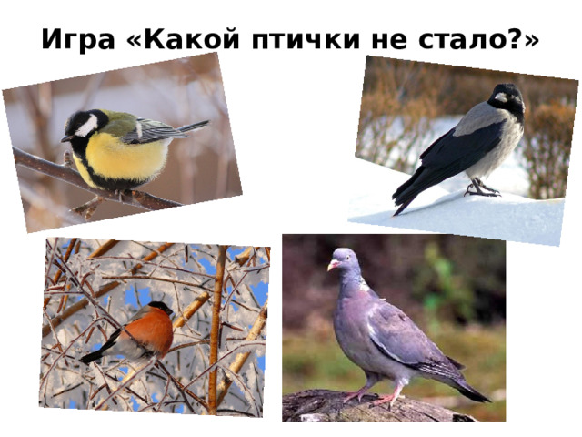 Игра «Какой птички не стало?»   