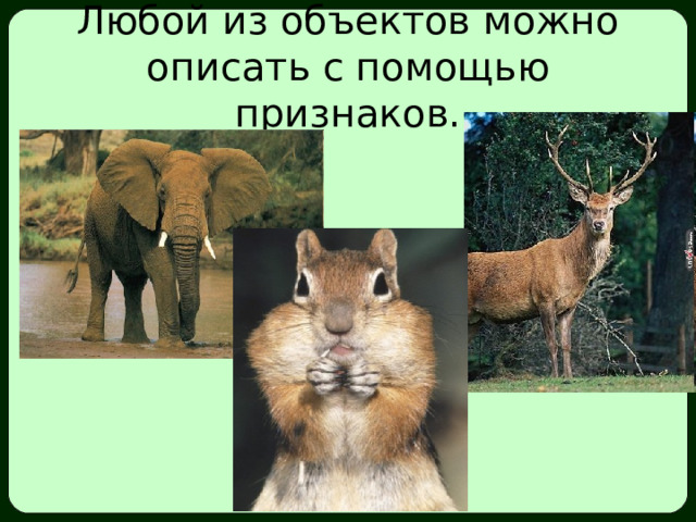 Любой из объектов можно описать с помощью признаков. 