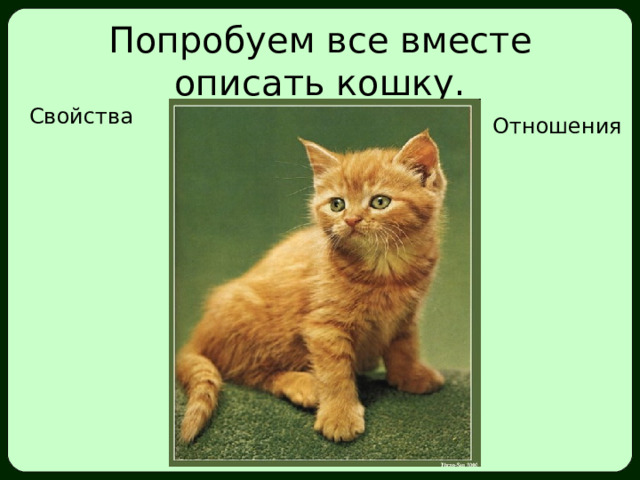 Попробуем все вместе описать кошку. Свойства Отношения 