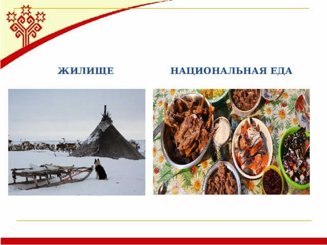 НАЦИОНАЛЬНАЯ ЕДА ЖИЛИЩЕ 