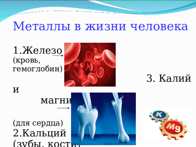 Металлы в жизни человека  1.Железо (кровь, гемоглобин)  3. Калий и магний  (для сердца)  2.Кальций (зубы, кости) 