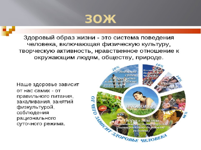ЗОЖ 