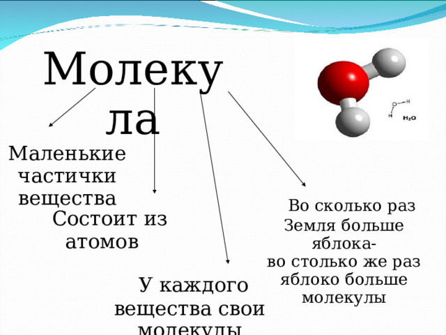  Молекула  Маленькие частички вещества  Во сколько раз Земля больше яблока- во столько же раз яблоко больше молекулы  Состоит из атомов  У каждого вещества свои молекулы 