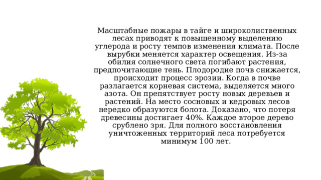 Масштабные пожары в тайге и широколиственных лесах приводят к повышенному выделению углерода и росту темпов изменения климата. После вырубки меняется характер освещения. Из-за обилия солнечного света погибают растения, предпочитающие тень. Плодородие почв снижается, происходит процесс эрозии. Когда в почве разлагается корневая система, выделяется много азота. Он препятствует росту новых деревьев и растений. На место сосновых и кедровых лесов нередко образуются болота. Доказано, что потеря древесины достигает 40%. Каждое второе дерево срублено зря. Для полного восстановления уничтоженных территорий леса потребуется минимум 100 лет. 