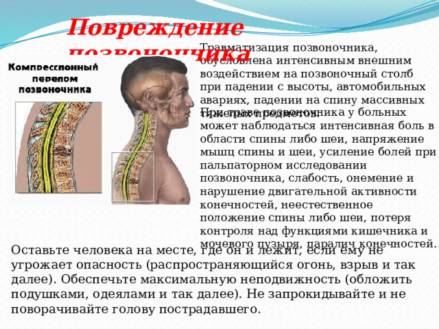Повреждение позвоночника Травматизация позвоночника, обусловлена интенсивным внешним воздействием на позвоночный столб при падении с высоты, автомобильных авариях, падении на спину массивных тяжелых предметов. При траве позвоночника у больных может наблюдаться интенсивная боль в области спины либо шеи, напряжение мышц спины и шеи, усиление болей при пальпаторном исследовании позвоночника, слабость, онемение и нарушение двигательной активности конечностей, неестественное положение спины либо шеи, потеря контроля над функциями кишечника и мочевого пузыря, паралич конечностей. Оставьте человека на месте, где он и лежит, если ему не угрожает опасность (распространяющийся огонь, взрыв и так далее). Обеспечьте максимальную неподвижность (обложить подушками, одеялами и так далее). Не запрокидывайте и не поворачивайте голову пострадавшего. 