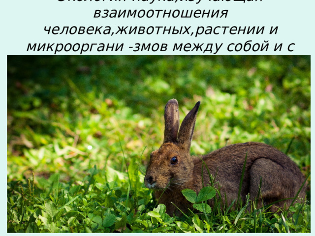 Экология-наука,изучающая взаимоотношения человека,животных,растении и микрооргани -змов между собой и с окружающей средой. 