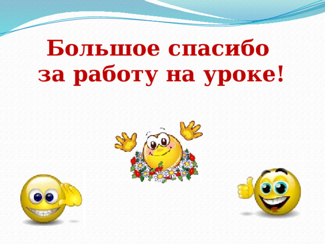 Большое спасибо  за работу на уроке! 