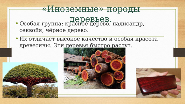 «Иноземные» породы деревьев. Особая группа: красное дерево, палисандр, секвойя, чёрное дерево. Их отличает высокое качество и особая красота древесины. Эти деревья быстро растут. 