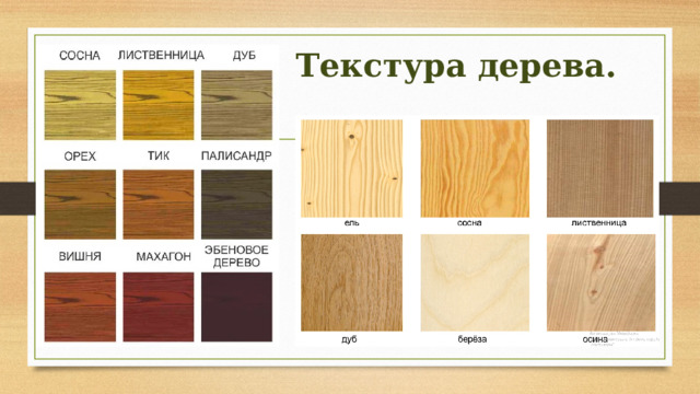 Текстура дерева. 