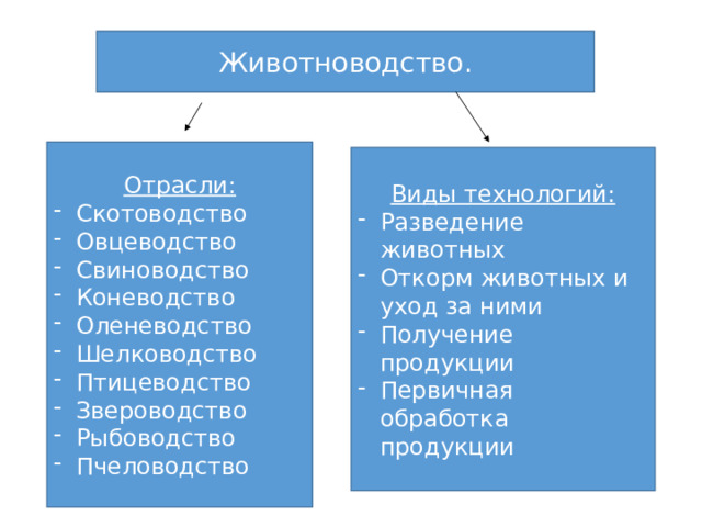 Животноводство. Отрасли: Скотоводство Овцеводство Свиноводство Коневодство Оленеводство Шелководство Птицеводство Звероводство Рыбоводство Пчеловодство Виды технологий: Разведение животных Откорм животных и уход за ними Получение продукции Первичная обработка продукции 