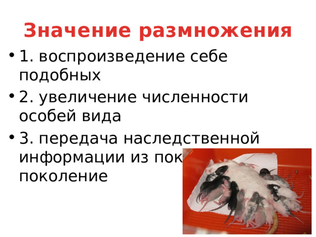 Значение размножения 1. воспроизведение себе подобных 2. увеличение численности особей вида 3. передача наследственной информации из поколения в поколение 