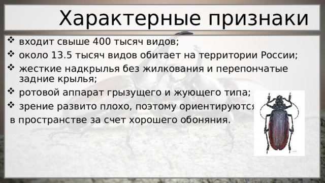  Характерные признаки входит свыше 400 тысяч видов; около 13.5 тысяч видов обитает на территории России; жесткие надкрылья без жилкования и перепончатые задние крылья; ротовой аппарат грызущего и жующего типа; зрение развито плохо, поэтому ориентируются  в пространстве за счет хорошего обоняния. 