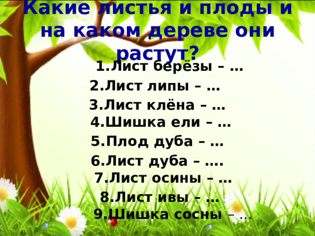 Какие листья и плоды и на каком дереве они растут?  1.Лист берёзы – …  2.Лист липы – … 3.Лист клёна – …  4.Шишка ели – …   5.Плод дуба – … 6.Лист дуба – ….  7.Лист осины – …  8.Лист ивы – …  9.Шишка сосны – …   