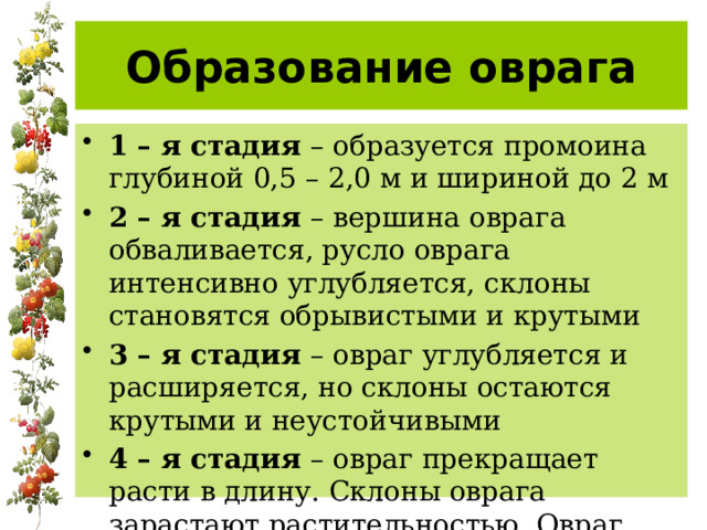 Образование оврага 1 – я стадия – образуется промоина глубиной 0,5 – 2,0 м и шириной до 2 м 2 – я стадия – вершина оврага обваливается, русло оврага интенсивно углубляется, склоны становятся обрывистыми и крутыми 3 – я стадия – овраг углубляется и расширяется, но склоны остаются крутыми и неустойчивыми 4 – я стадия – овраг прекращает расти в длину. Склоны оврага зарастают растительностью. Овраг превращается в балку 