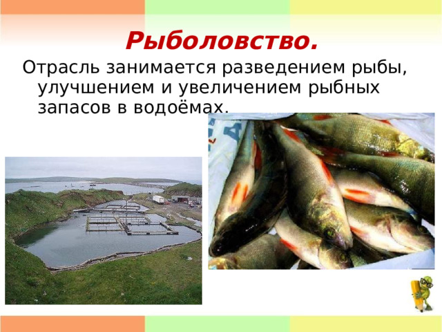 Рыболовство. Отрасль занимается разведением рыбы, улучшением и увеличением рыбных запасов в водоёмах. 