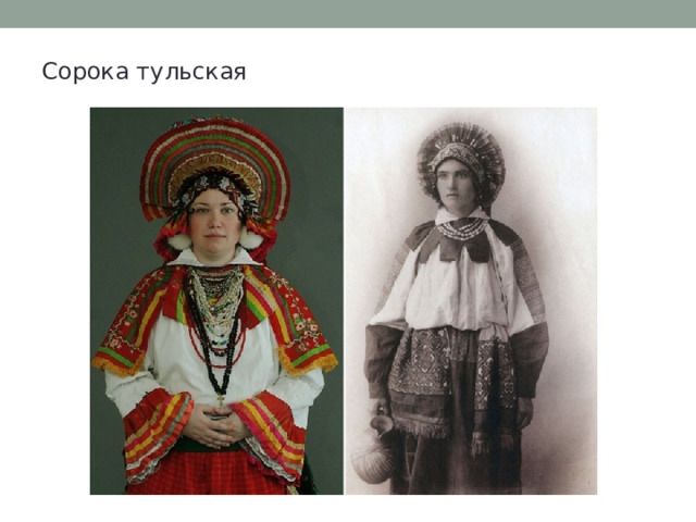 Сорока тульская 