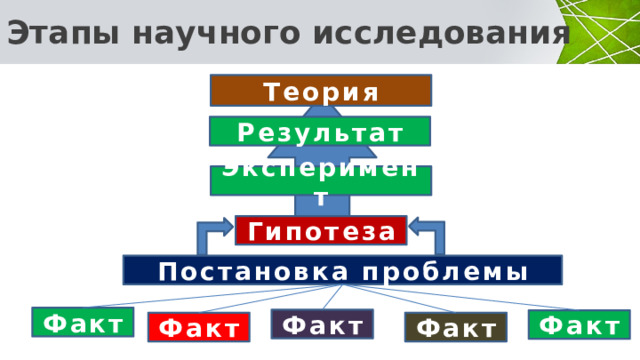 Этапы научного исследования Теория Результат Эксперимент Гипотеза Постановка проблемы Факт Таким образом, биология изучает проявление жизнедеятельности всех живых организмов – бактерий, вирусов, грибов, растений, животных. Факт Факт Факт Факт 5 
