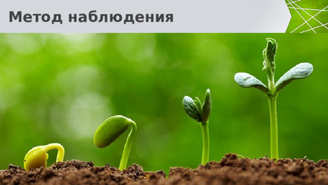  Метод наблюдения - преднамеренное, целенаправленное восприятие объектов и процессов с целью осознания его существенных свойств. Наблюдение  – отправной пункт всякого естественнонаучного исследования. В биологии это особенно хорошо заметно, так как объект ее изучения – человек и окружающая его живая природа. Наблюдение как метод собирания информации – хронологически самый первый прием исследования, появившийся в арсенале биологии, этот метод не утратил своего значения и по сей день. Наблюдения могут быть прямыми или косвенными, они могут вестись с помощью технических приспособлений или без таковых. Так, орнитолог видит птицу в бинокль и может слышать ее, а может фиксировать прибором звуки вне слышимого человеческим ухом диапазона 5 