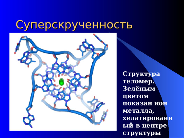 Суперскрученность Структура теломер. Зелёным цветом показан ион металла, хелатированный в центре структуры 