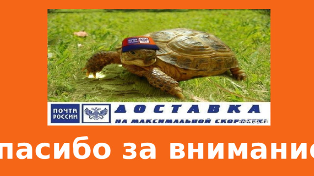 Спасибо за внимание  