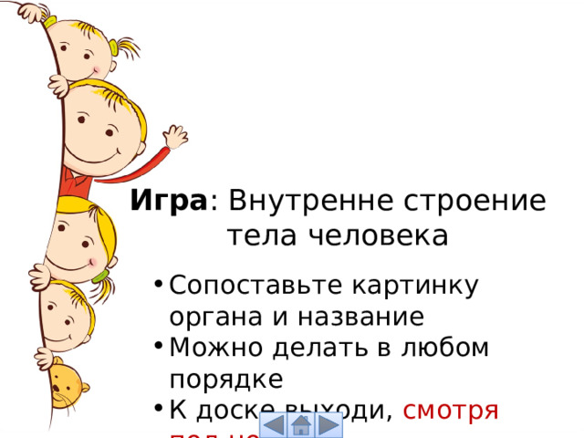 Игра : Внутренне строение тела человека Сопоставьте картинку органа и название Можно делать в любом порядке К доске выходи, смотря под ноги! 