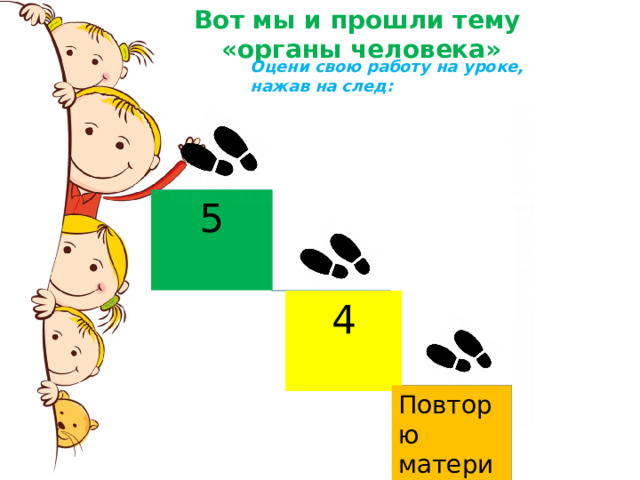 Вот мы и прошли тему «органы человека» Оцени свою работу на уроке, нажав на след: 5 4 Повторю материал 