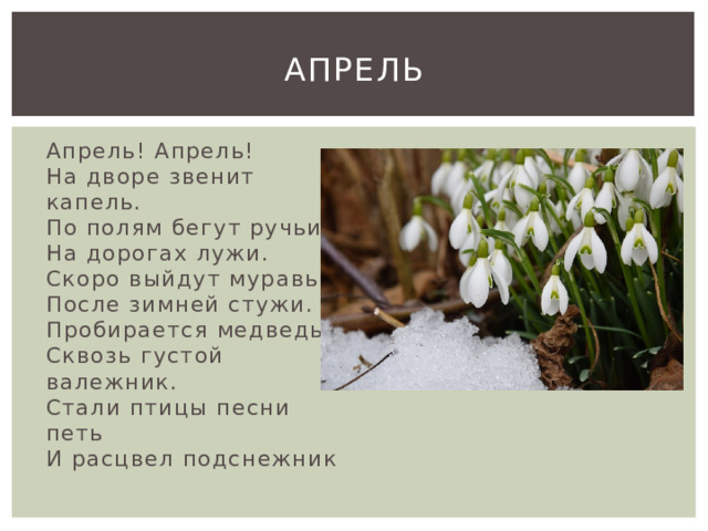 Апрель Апрель! Апрель!  На дворе звенит капель.  По полям бегут ручьи,  На дорогах лужи.  Скоро выйдут муравьи  После зимней стужи.  Пробирается медведь  Сквозь густой валежник.  Стали птицы песни петь  И расцвел подснежник 