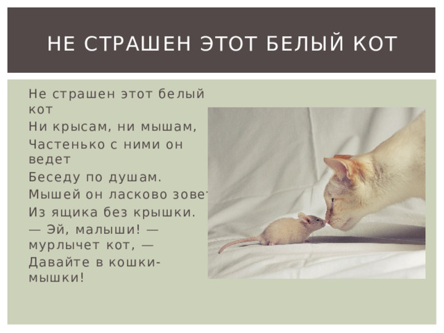 Не страшен этот белый кот Не страшен этот белый кот Ни крысам, ни мышам, Частенько с ними он ведет Беседу по душам. Мышей он ласково зовет Из ящика без крышки. — Эй, малыши! — мурлычет кот, — Давайте в кошки-мышки! 