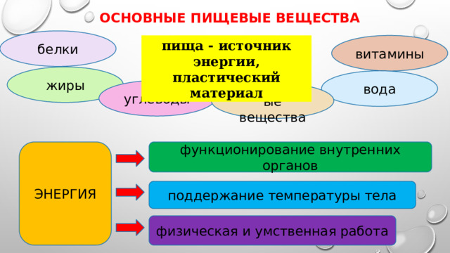 Основные пищевые вещества белки витамины пища - источник энергии, пластический материал жиры вода углеводы минеральные вещества функционирование внутренних органов ЭНЕРГИЯ поддержание температуры тела физическая и умственная работа 