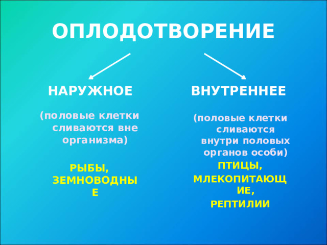 ОПЛОДОТВОРЕНИЕ НАРУЖНОЕ ВНУТРЕННЕЕ (половые клетки сливаются вне организма) РЫБЫ, ЗЕМНОВОДНЫЕ (половые клетки сливаются внутри половых органов особи) ПТИЦЫ, МЛЕКОПИТАЮЩИЕ, РЕПТИЛИИ  